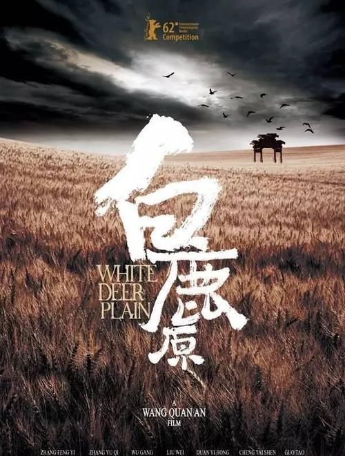 自考本科学历证书样本